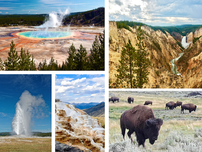 Différentes facettes du parc de Yellowstone